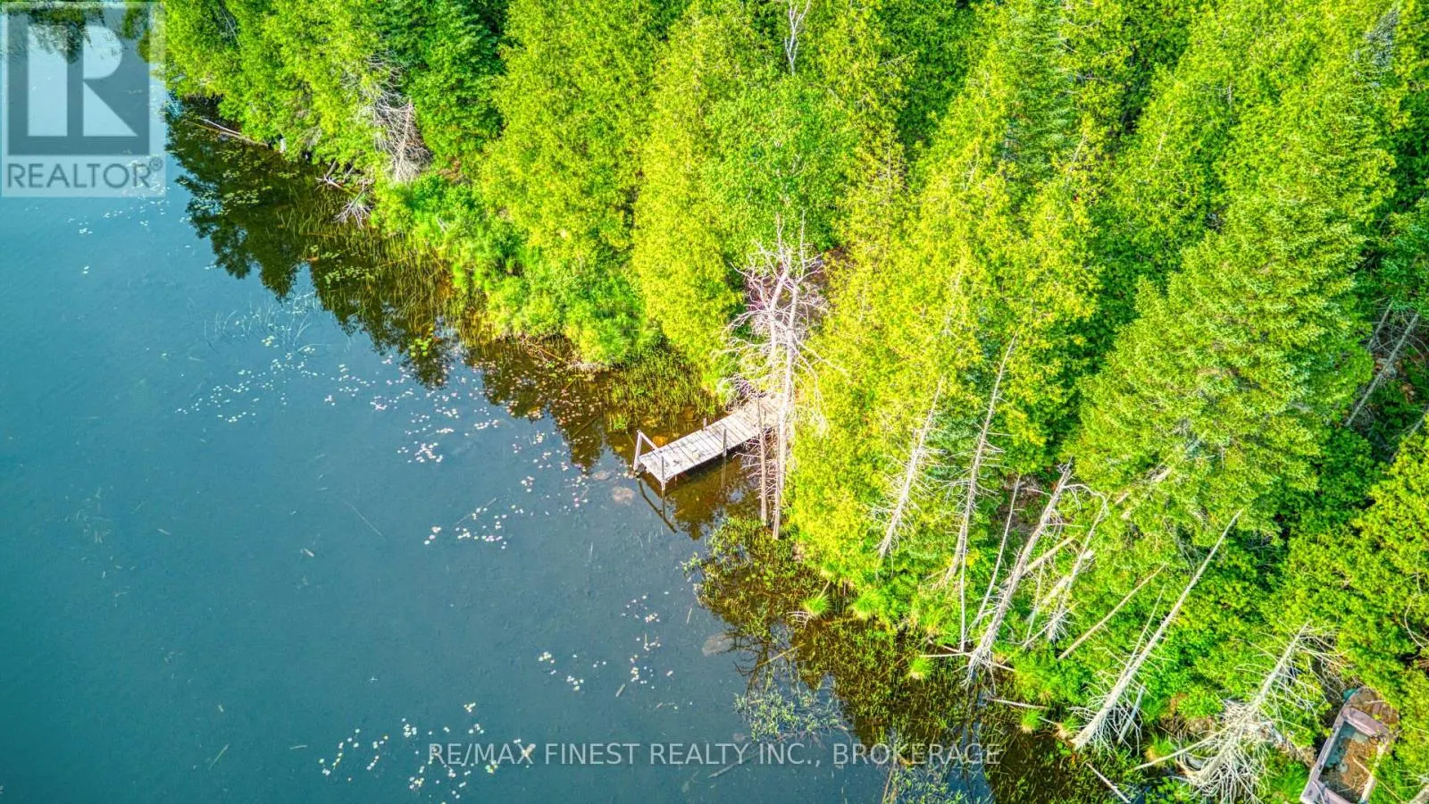 E 1/2 LOT 22 CONCESSION 9 PALMERSTON
