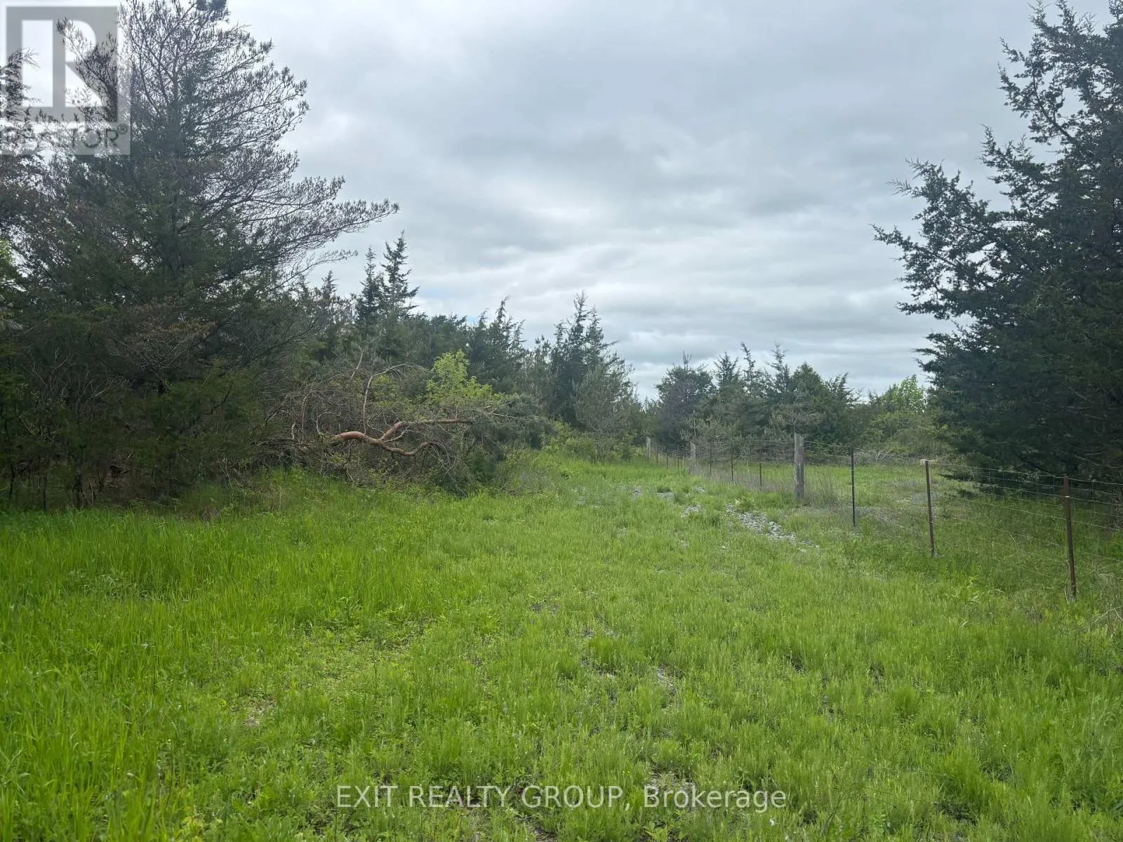 262 JOHNSTON ROAD