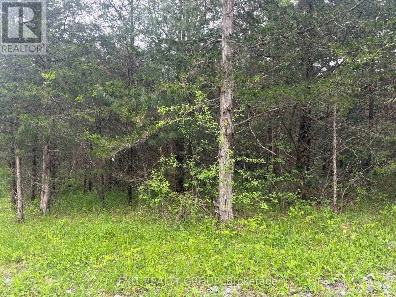262 JOHNSTON ROAD