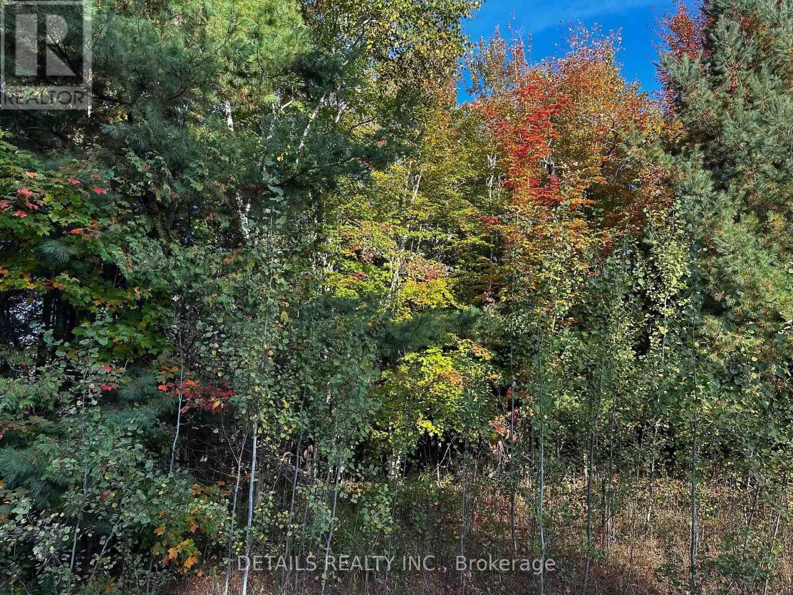 515 VANCES SIDE ROAD N