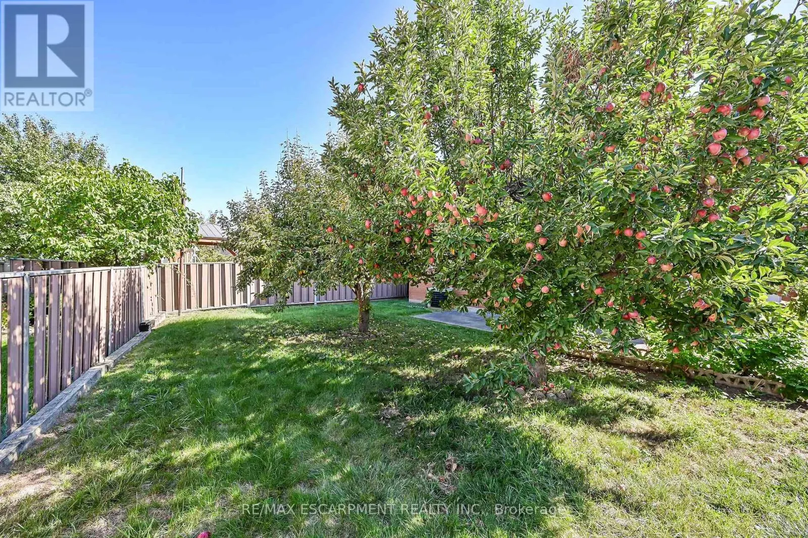 65 ELLINGTON AVENUE