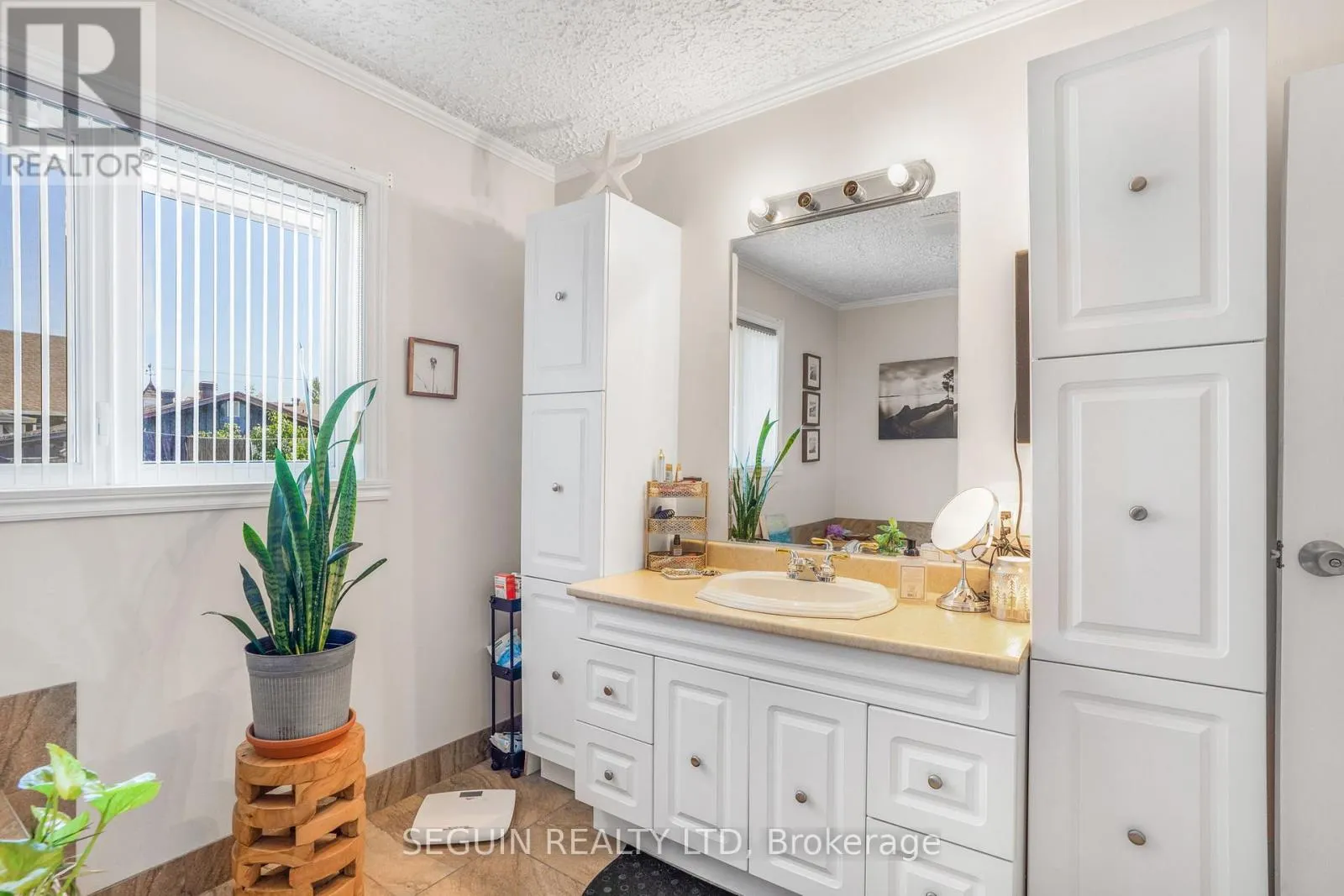 301-303 CHAMBERLAIN STREET