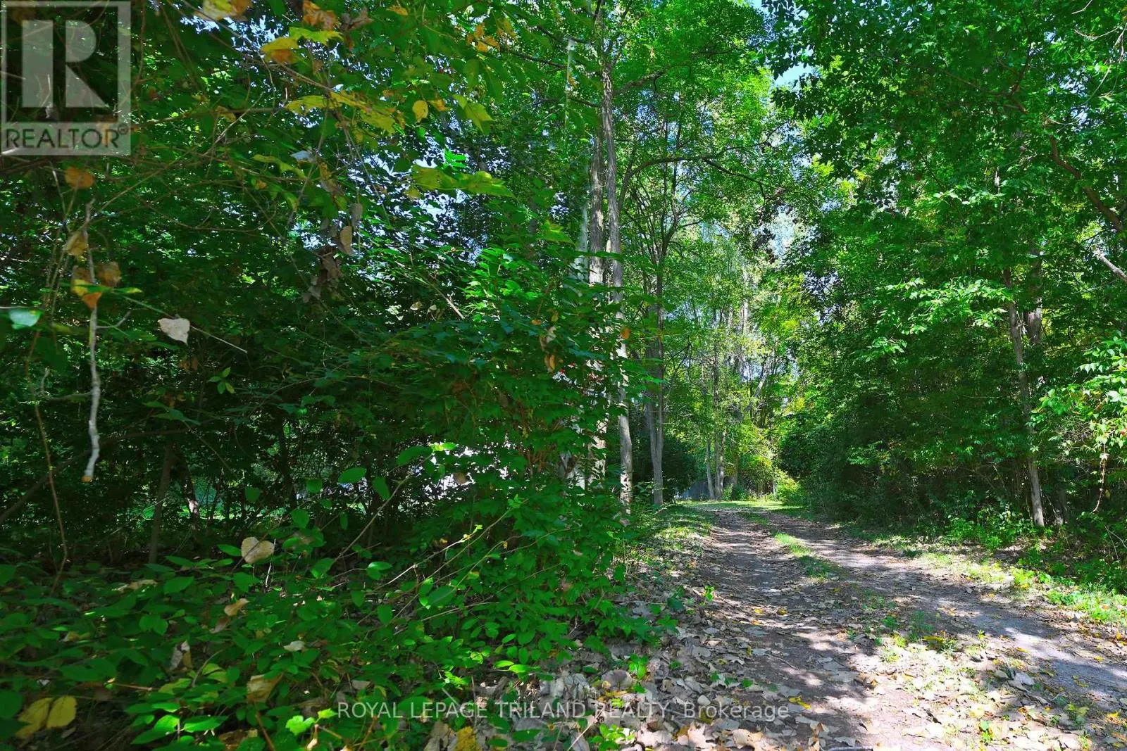 65 COVE ROAD