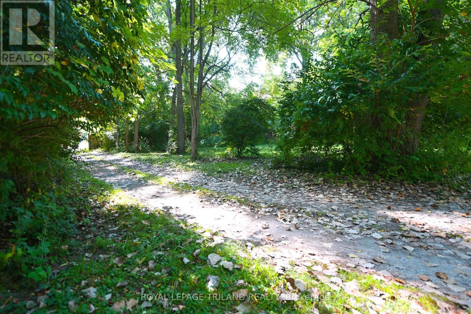 65 COVE ROAD
