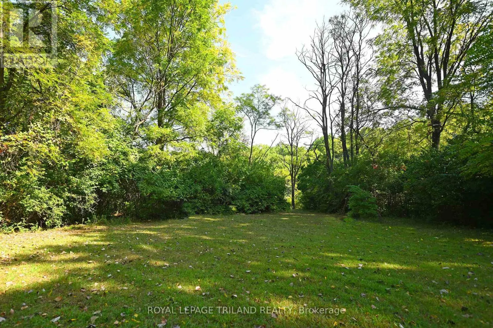 65 COVE ROAD