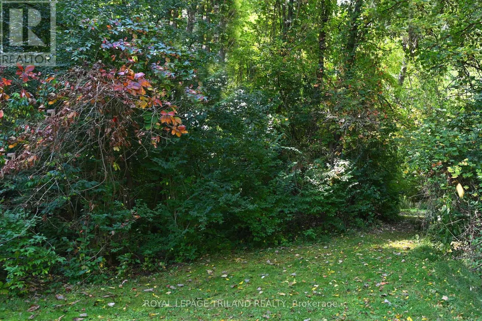 65 COVE ROAD