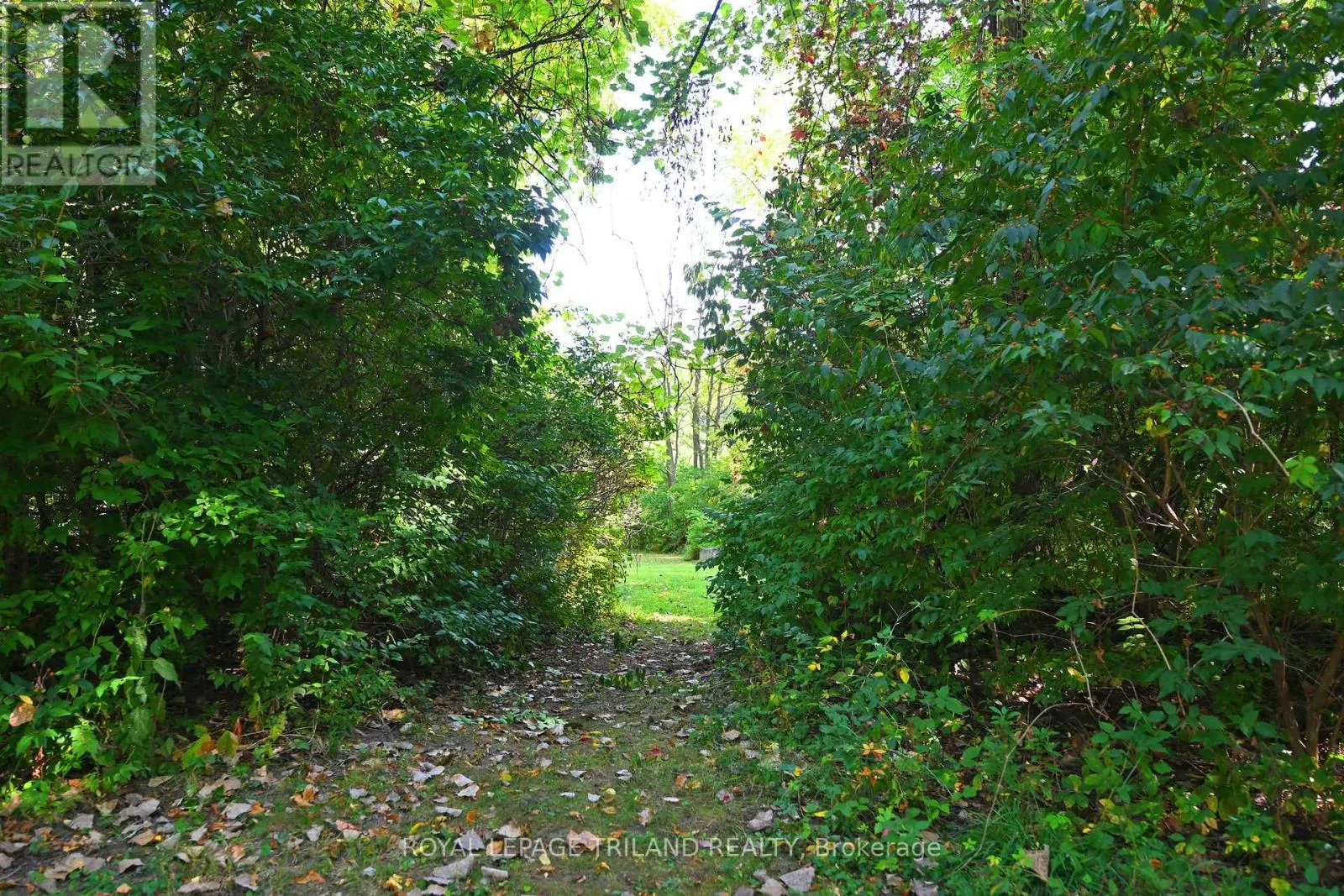 65 COVE ROAD