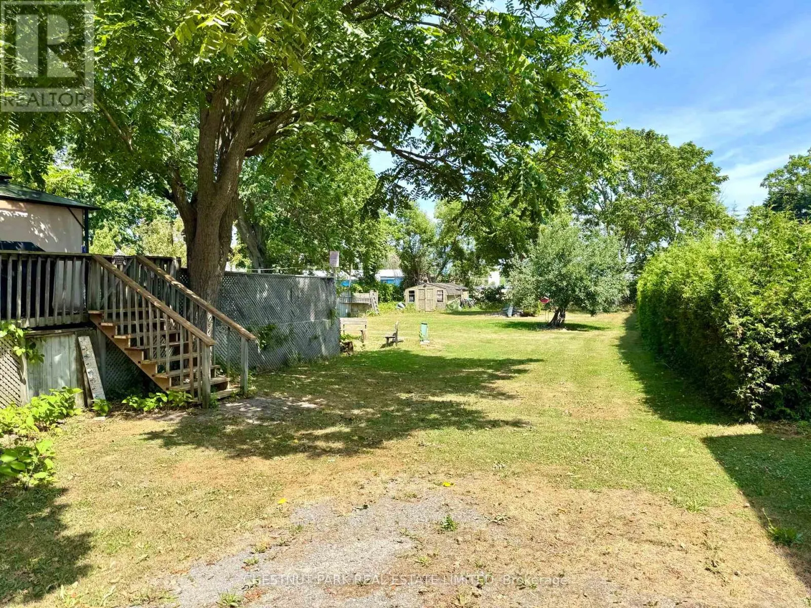 12 MAPLE AVENUE