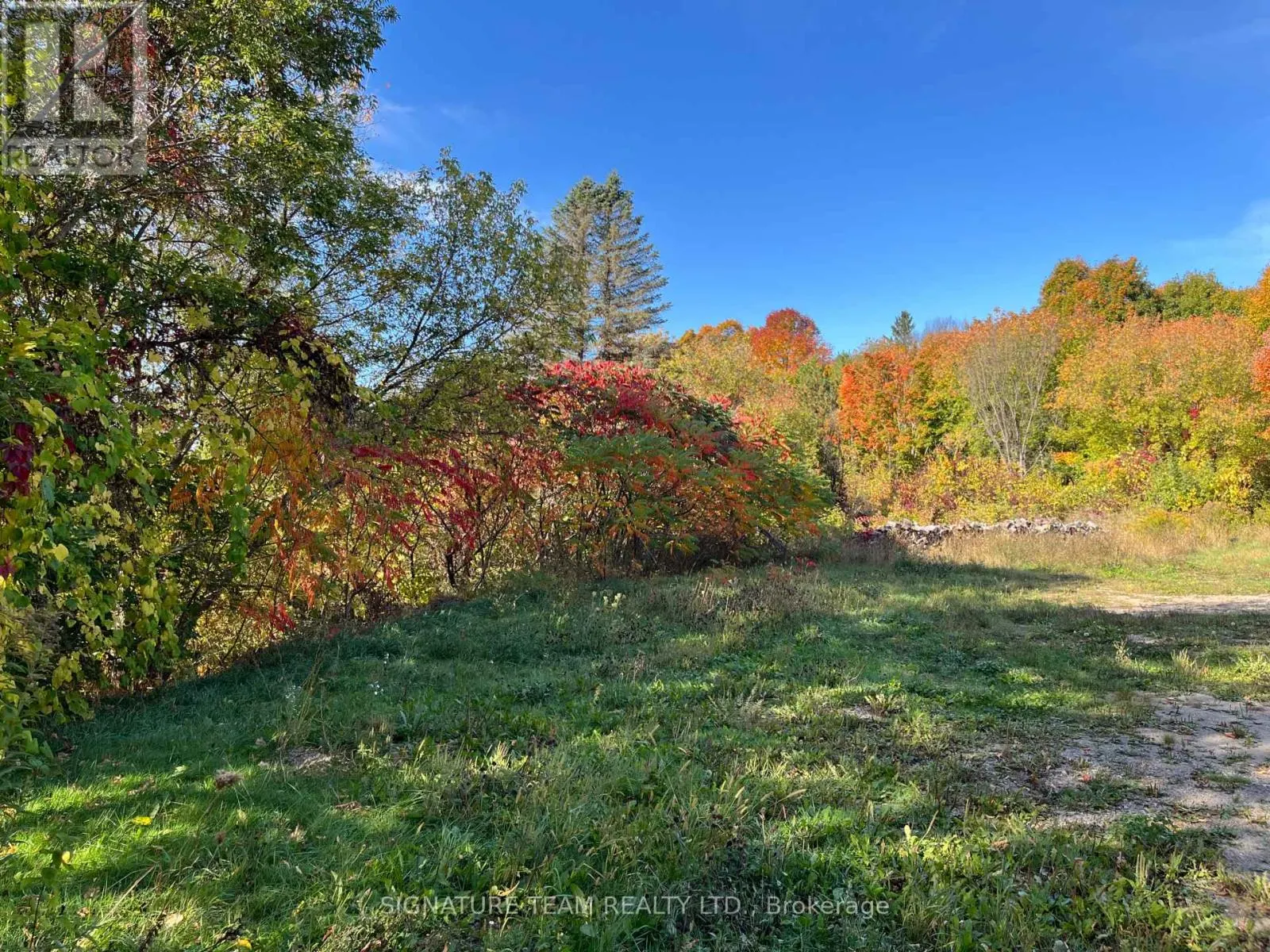 292 BONNECHERE STREET W