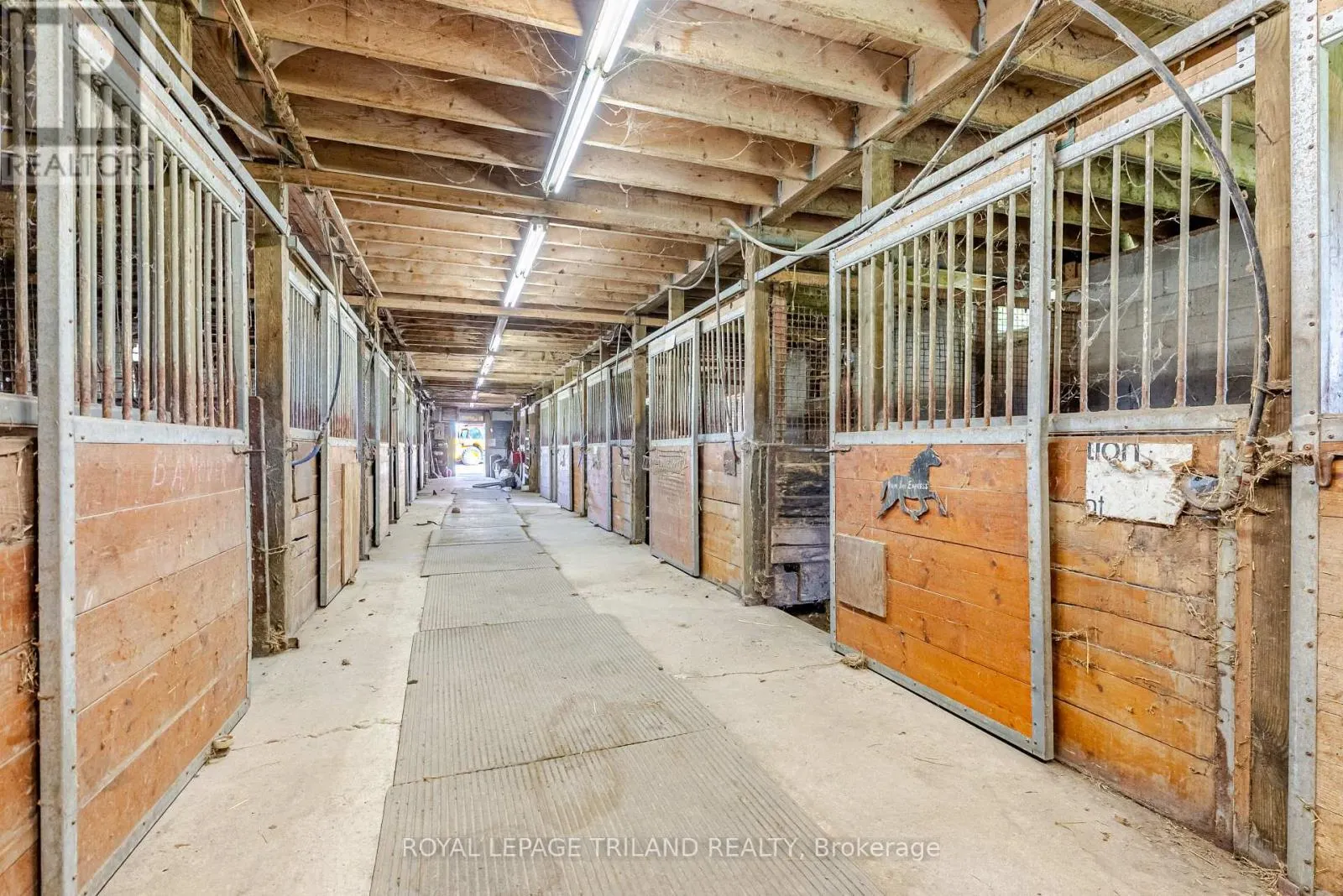 5901 ELGIN ROAD