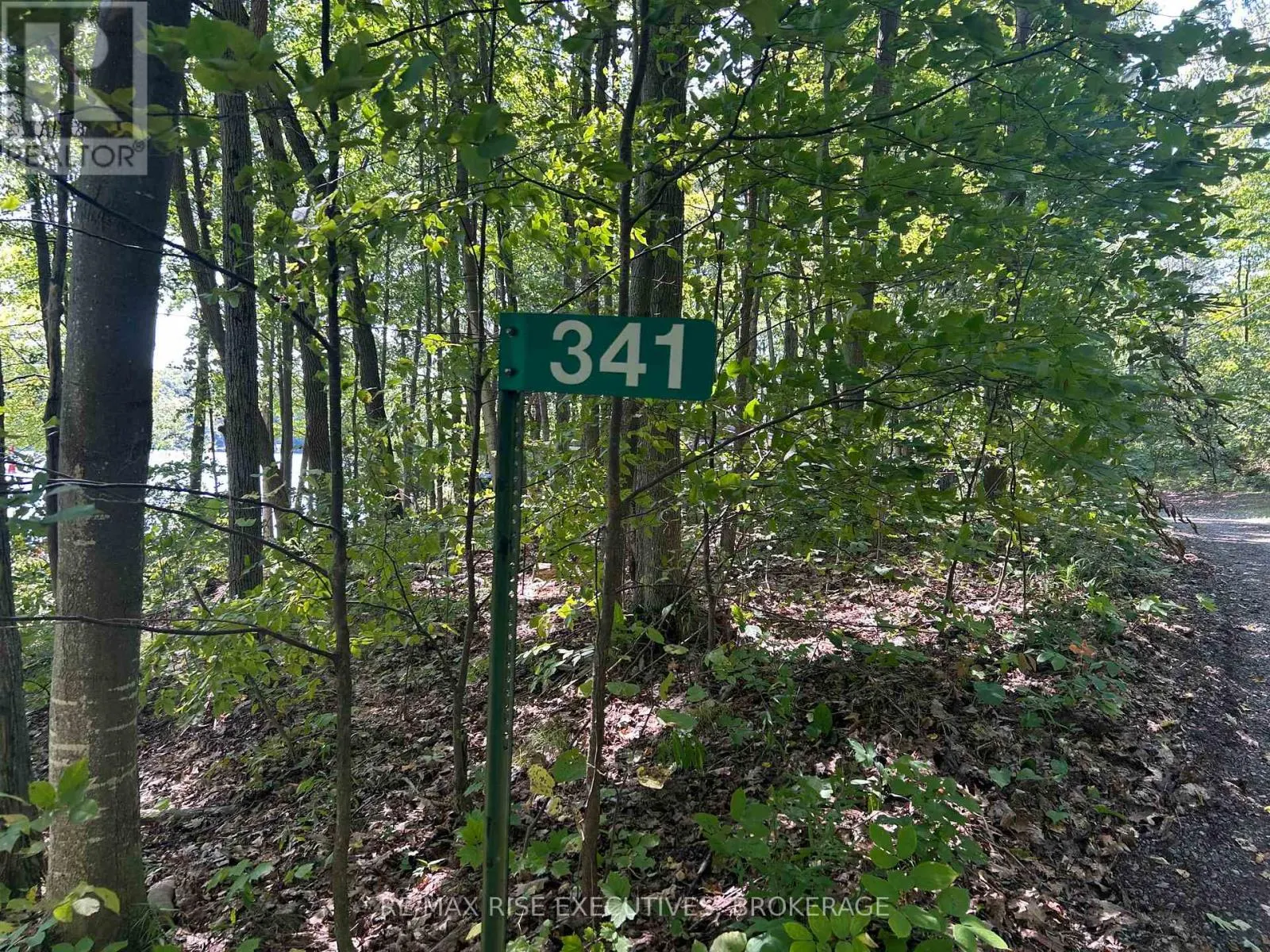341 STEVE BABCOCK LANE
