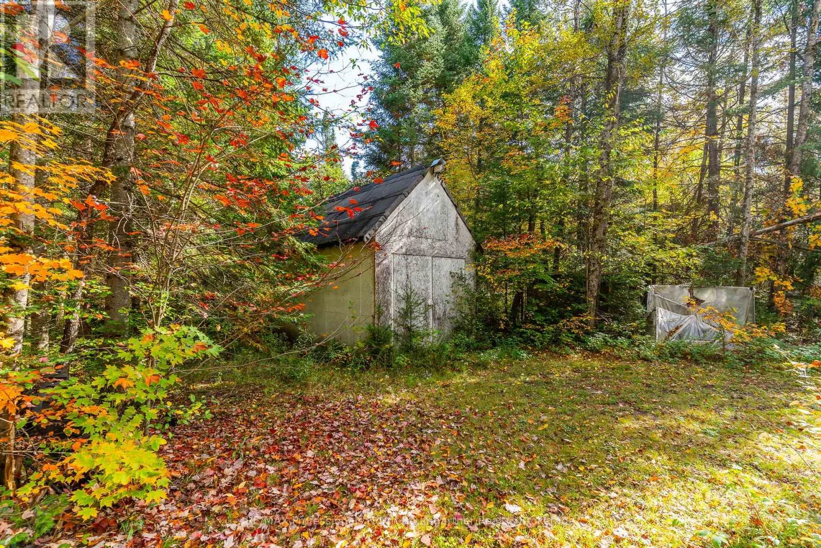 1099 PENZANCE TRAIL