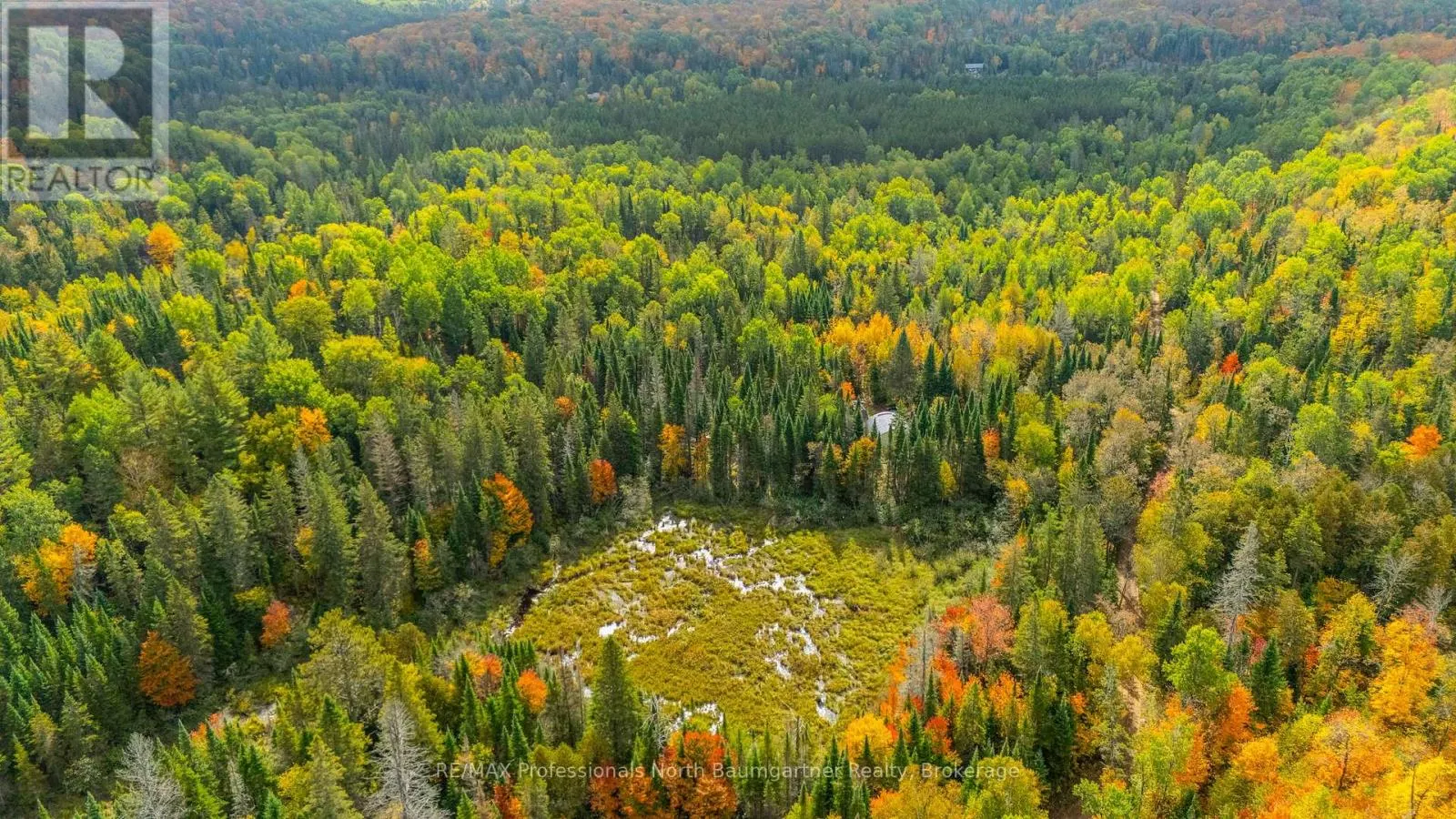1099 PENZANCE TRAIL