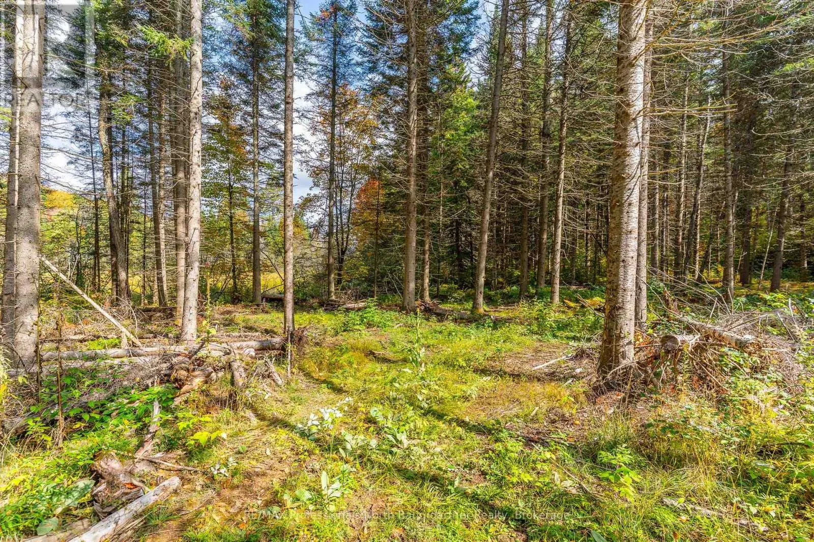 1099 PENZANCE TRAIL