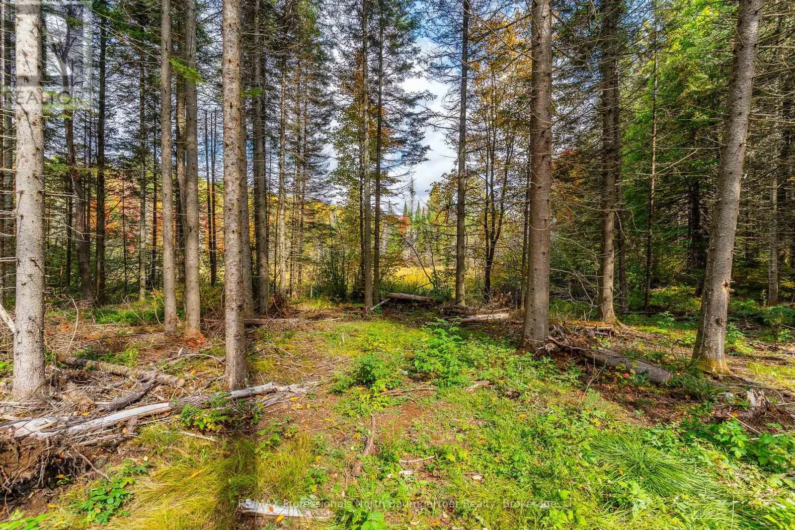 1099 PENZANCE TRAIL