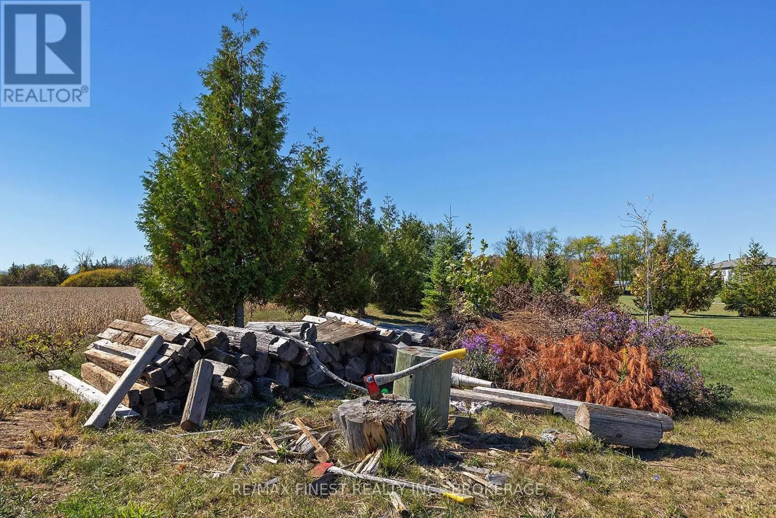 3775 GREENFIELD ROAD