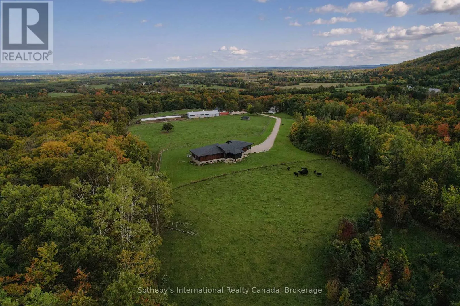 589903 GREY ROAD 19