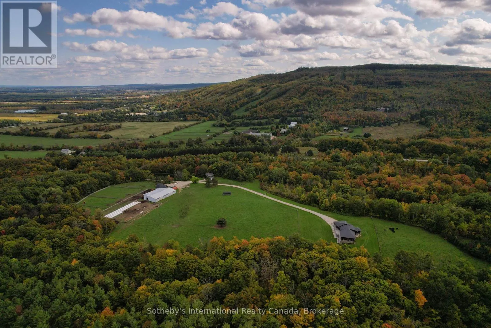 589903 GREY ROAD 19