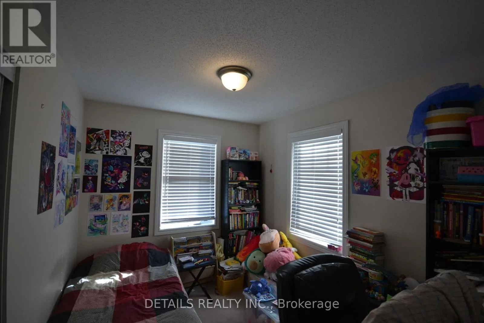 530 SNOW GOOSE STREET