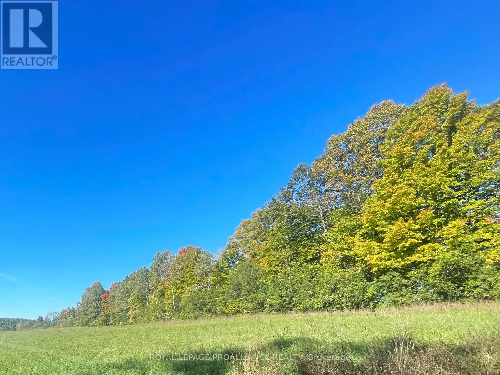 LOT C - 00 JAMIESON ROAD N