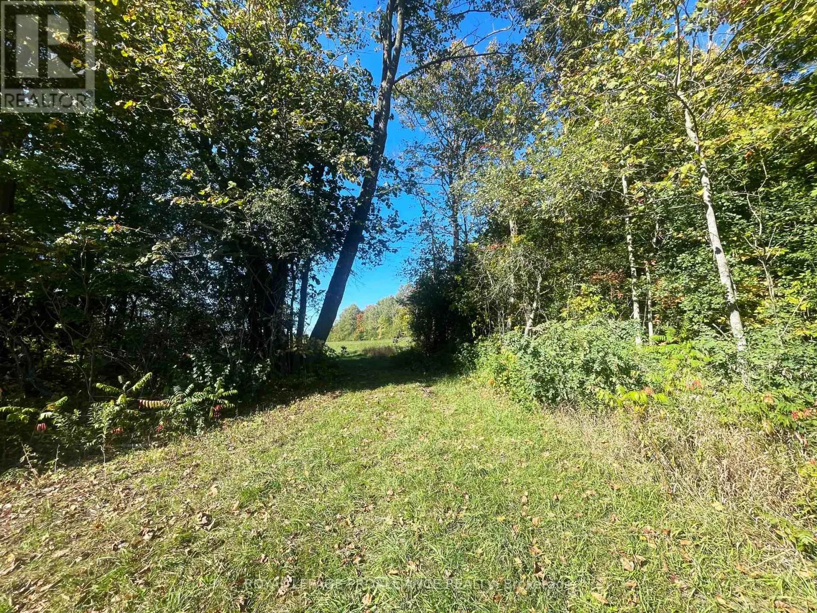 LOT C - 00 JAMIESON ROAD N