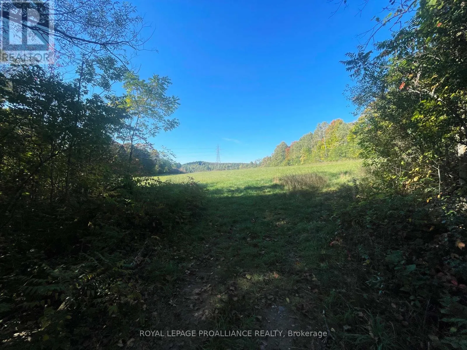 LOT C - 00 JAMIESON ROAD N
