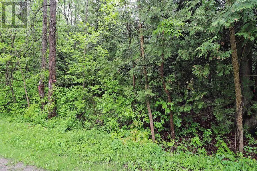 PT 12 HUGHES LANE