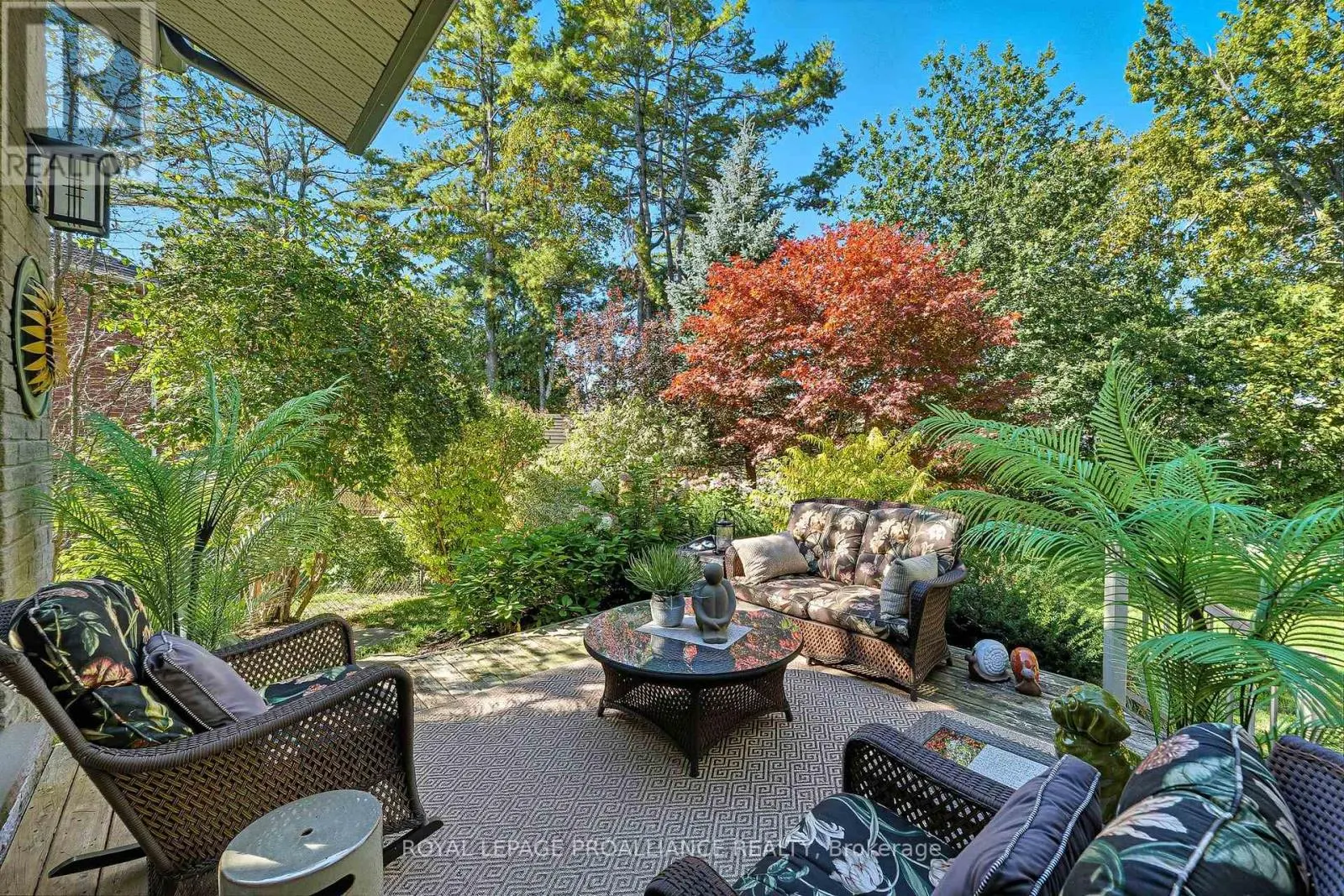 6 BIRCH COURT