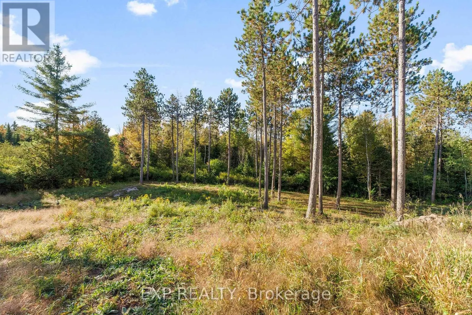 413 SWAMP ROAD