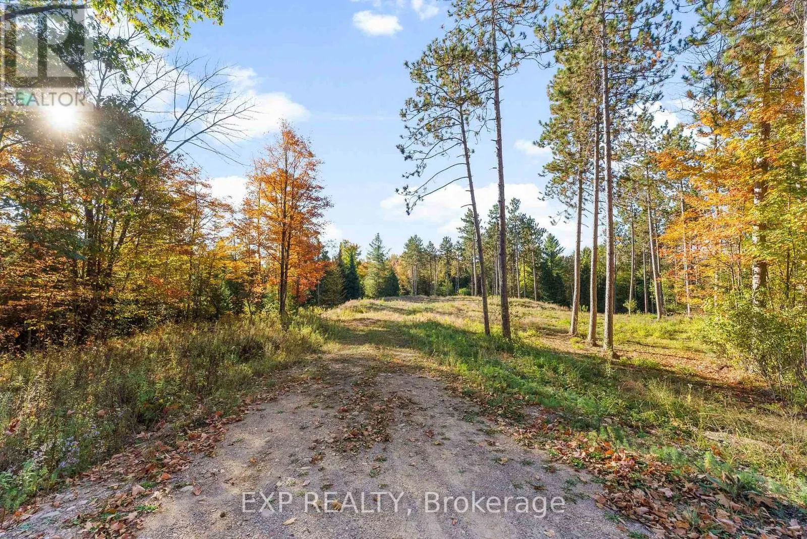 413 SWAMP ROAD