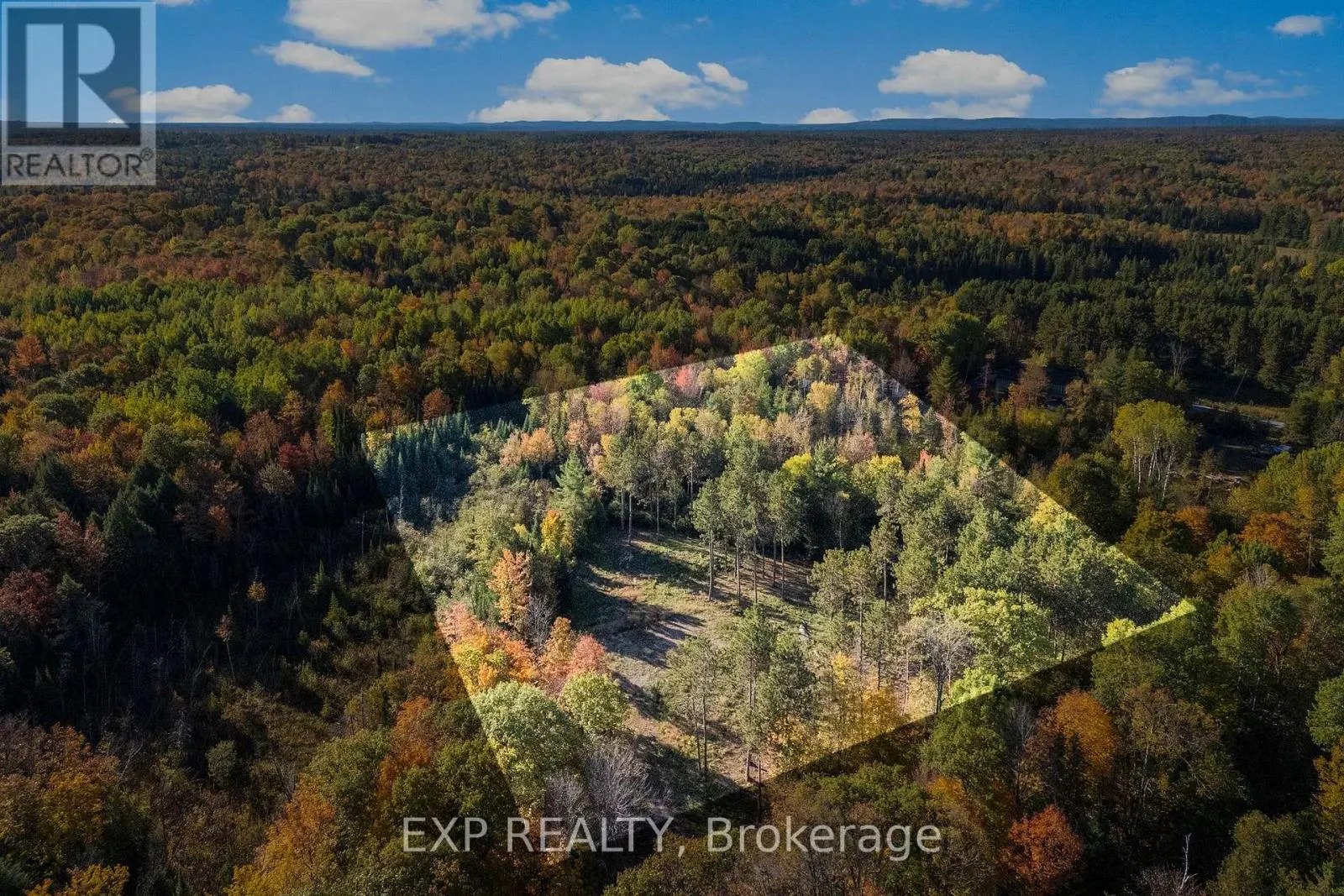 413 SWAMP ROAD