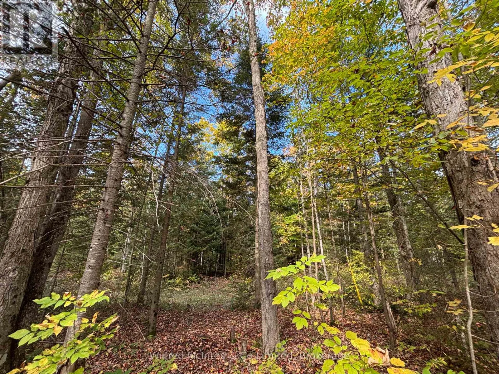 78 INDIAN TRAIL