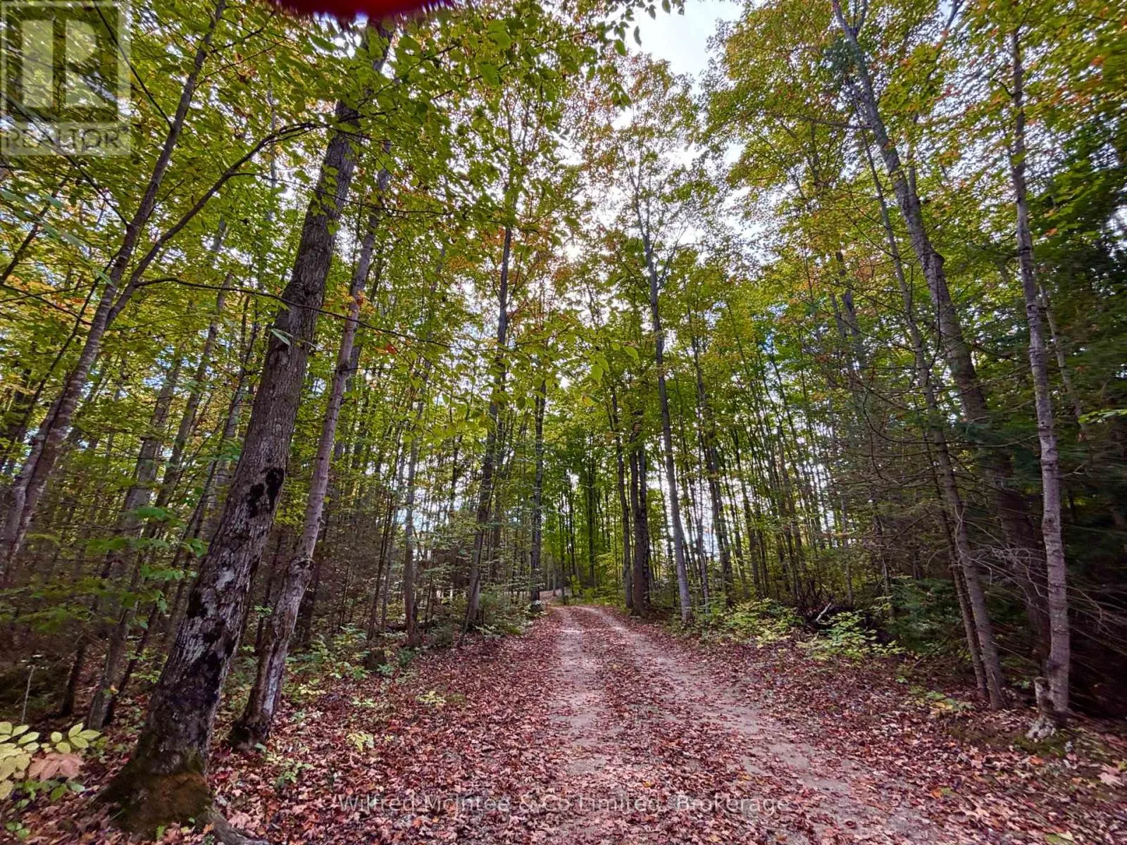 78 INDIAN TRAIL