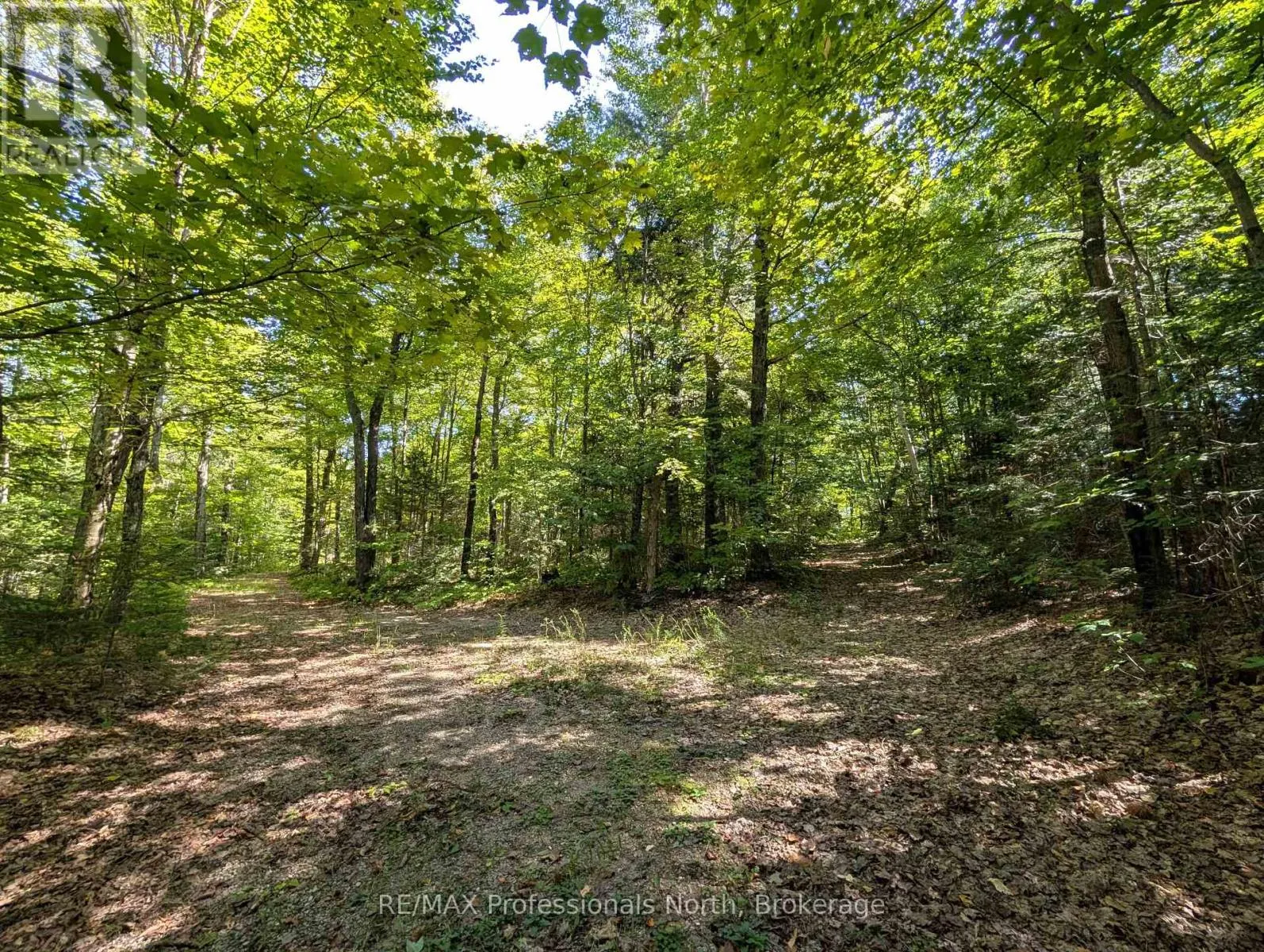611 BRAY LAKE ROAD