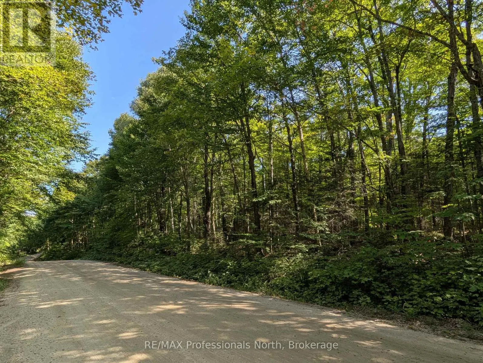 611 BRAY LAKE ROAD