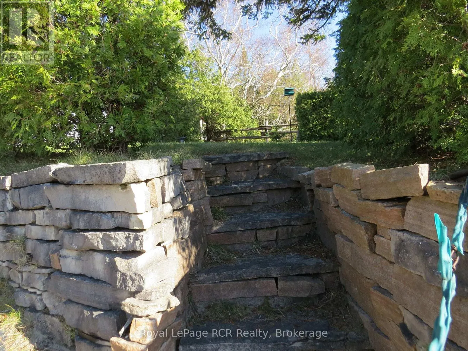 9 LAKESHORE BOULEVARD S