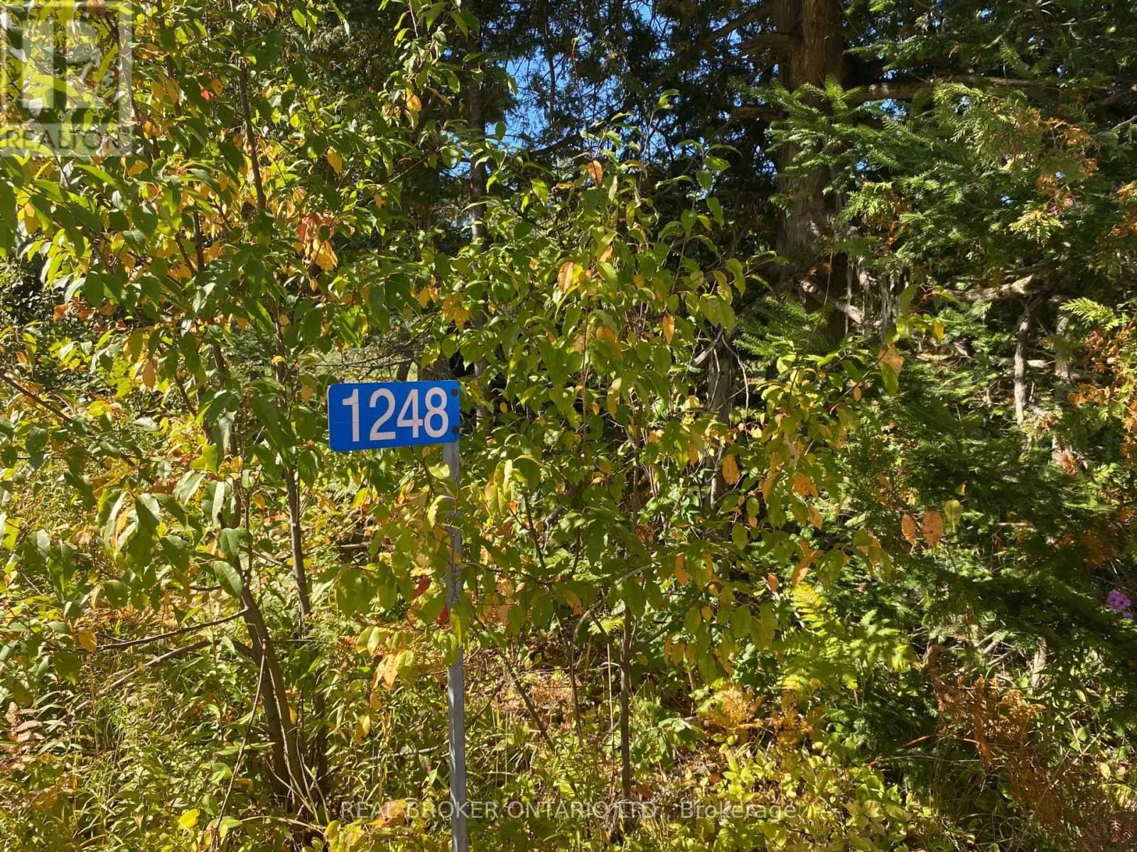 1248 BEIERS ROAD