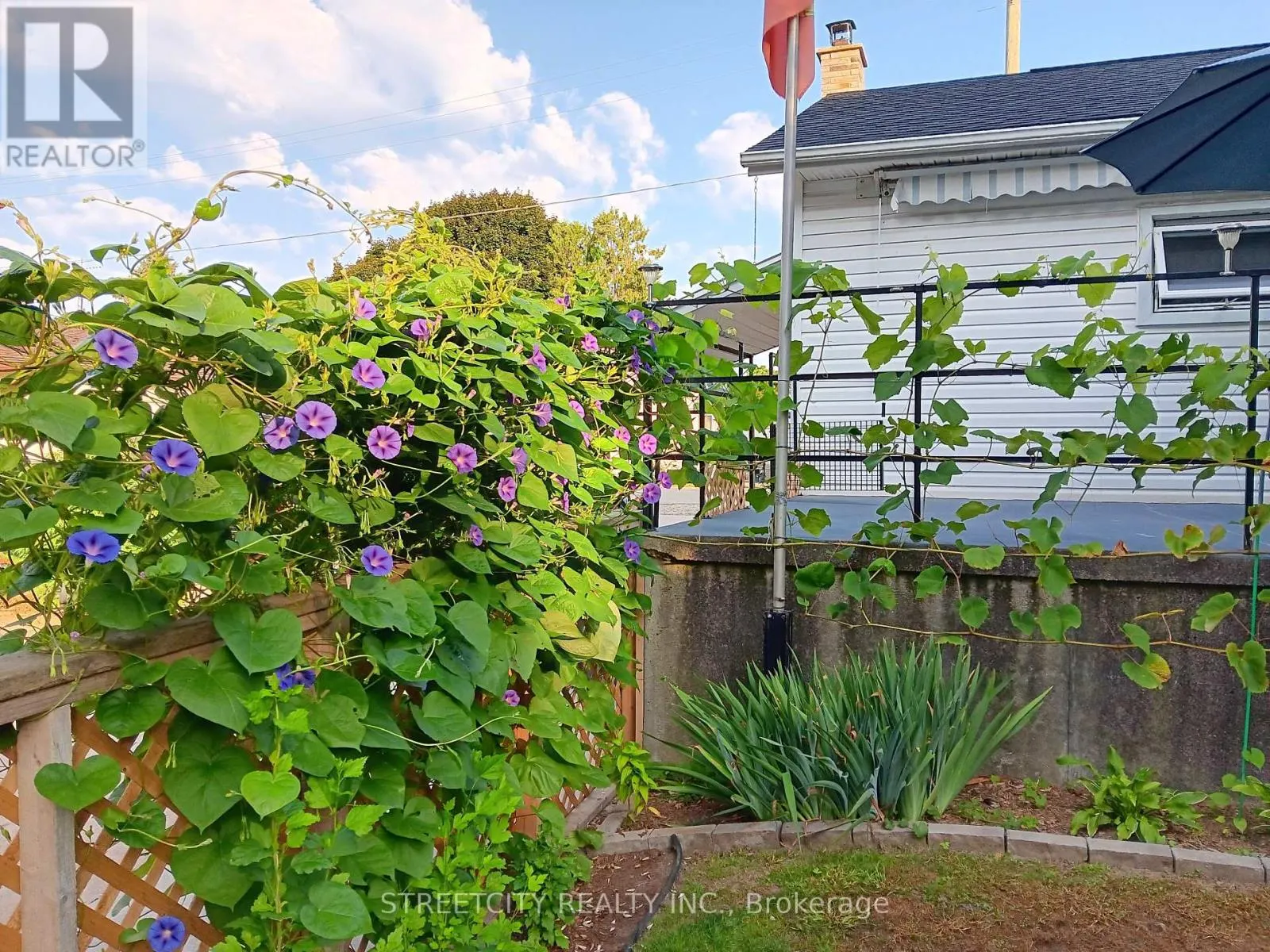 156 MAPLE STREET