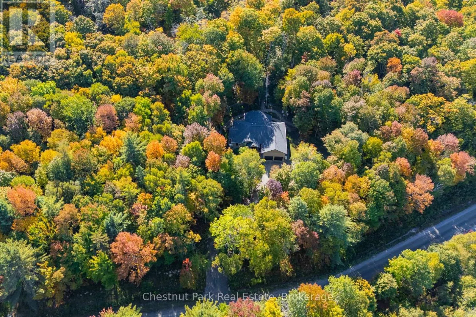 170 SPRINGFIELD ROAD