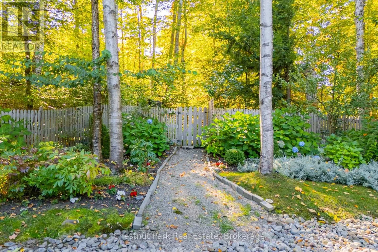 170 SPRINGFIELD ROAD