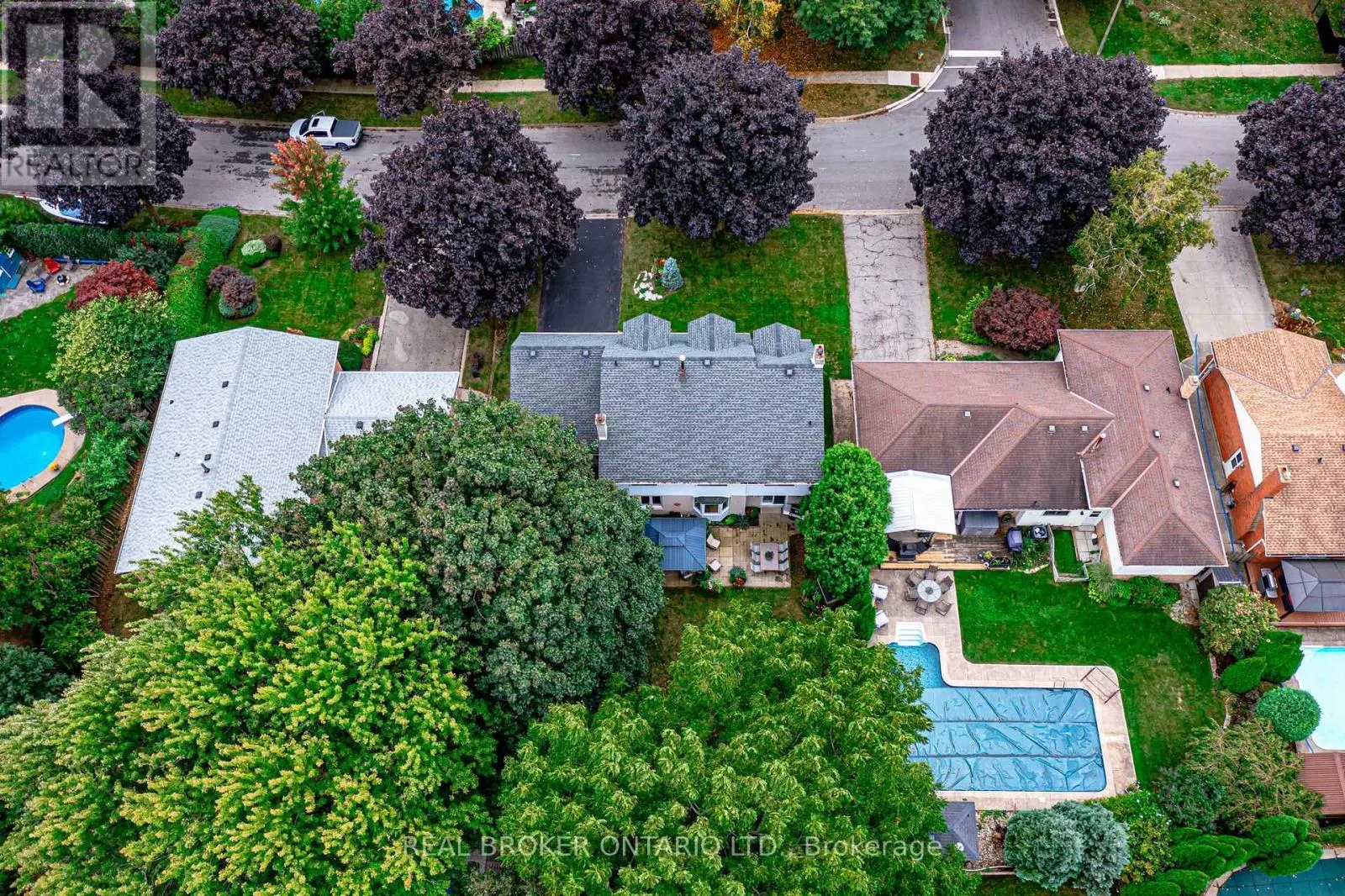 15 BLUE FOREST DRIVE