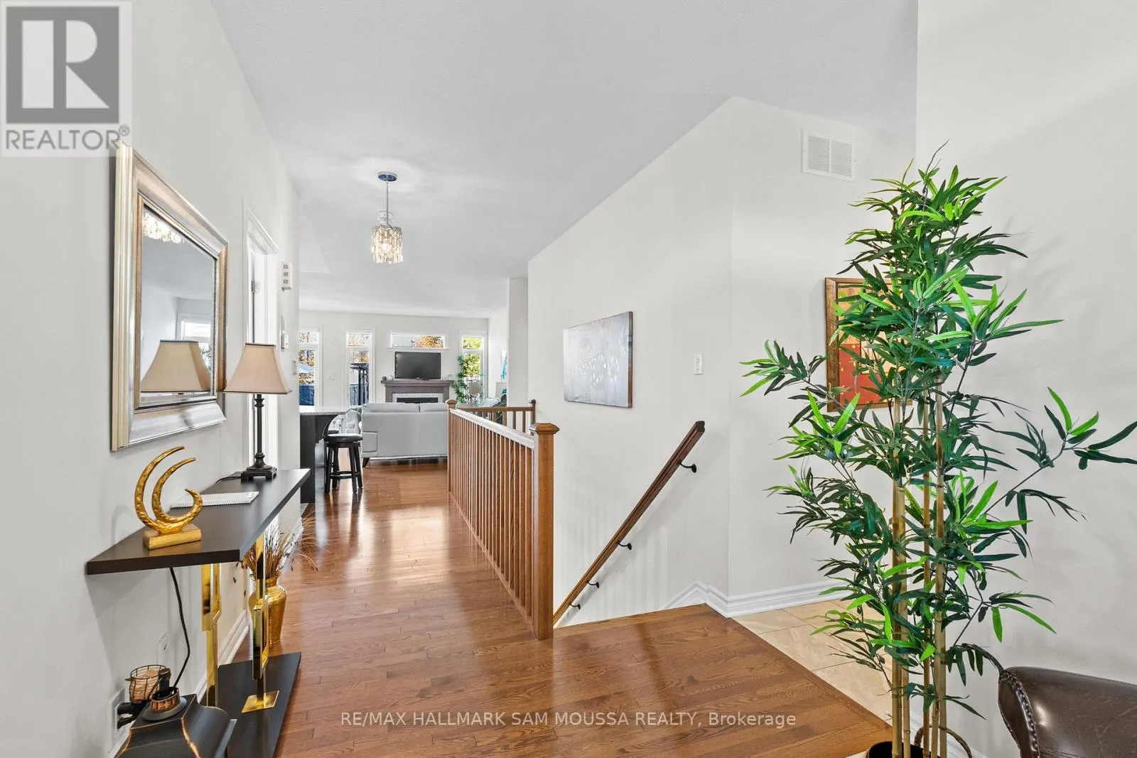 259 SHINNY AVENUE