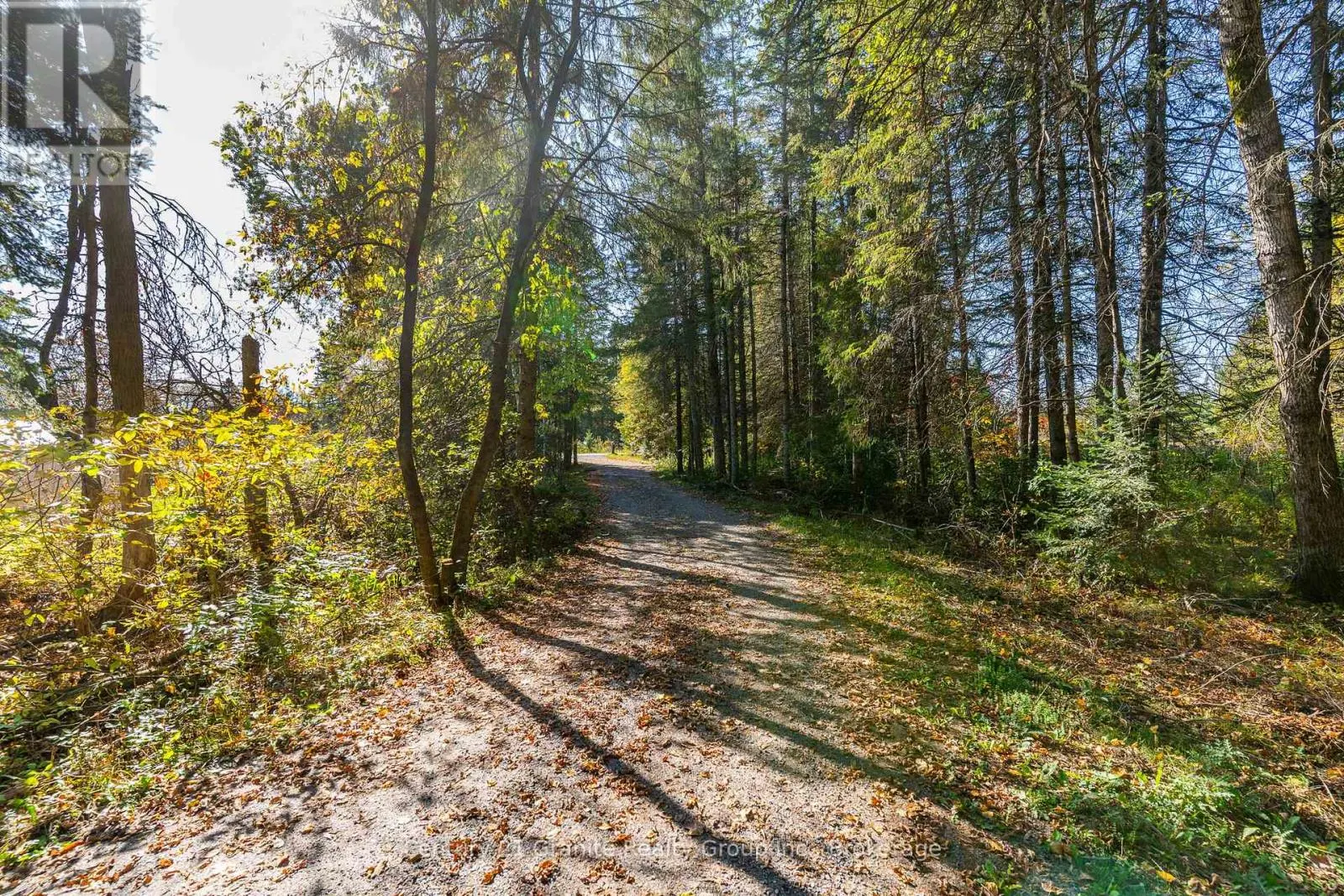 4739 GELERT ROAD