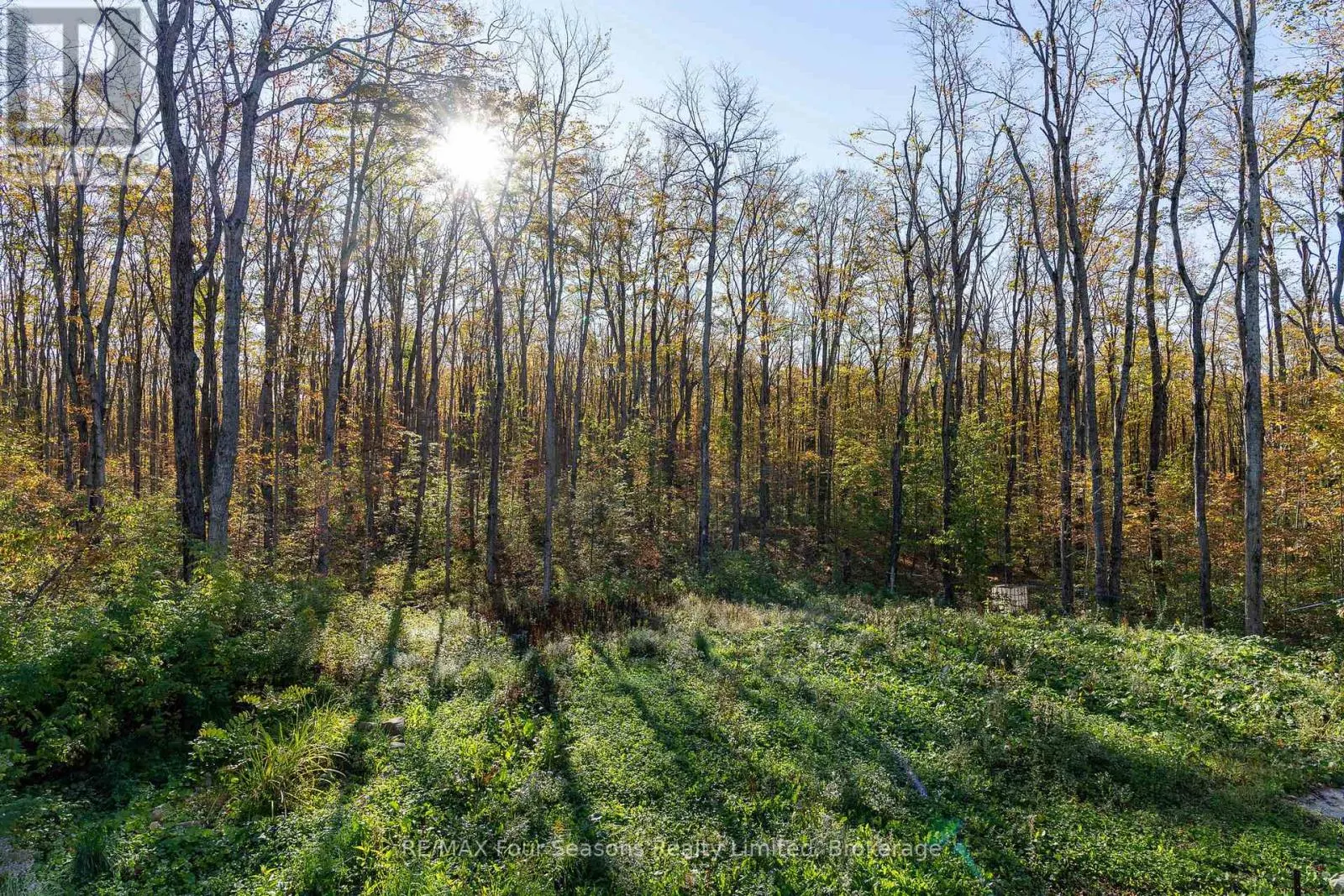 589108 GREY ROAD 19