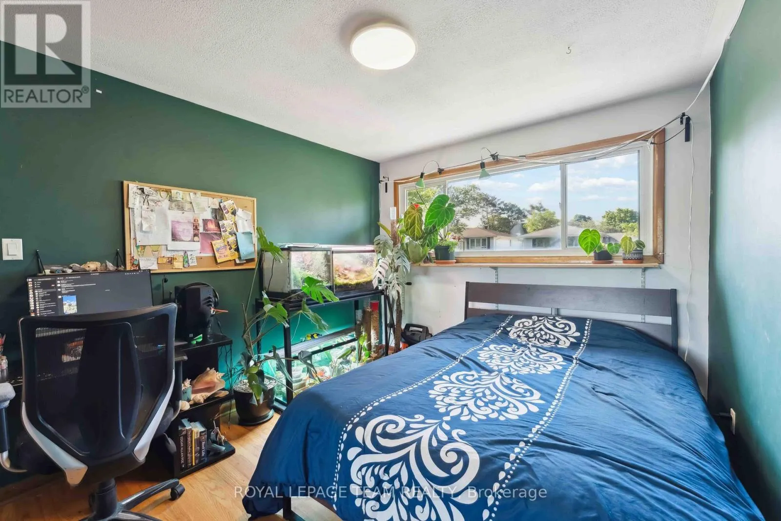 2353 GEORGINA DRIVE