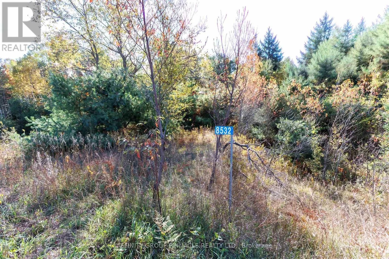 8532 COUNTY RD 503