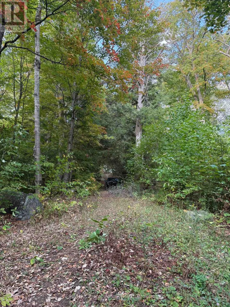 1258 BETULA CRESCENT