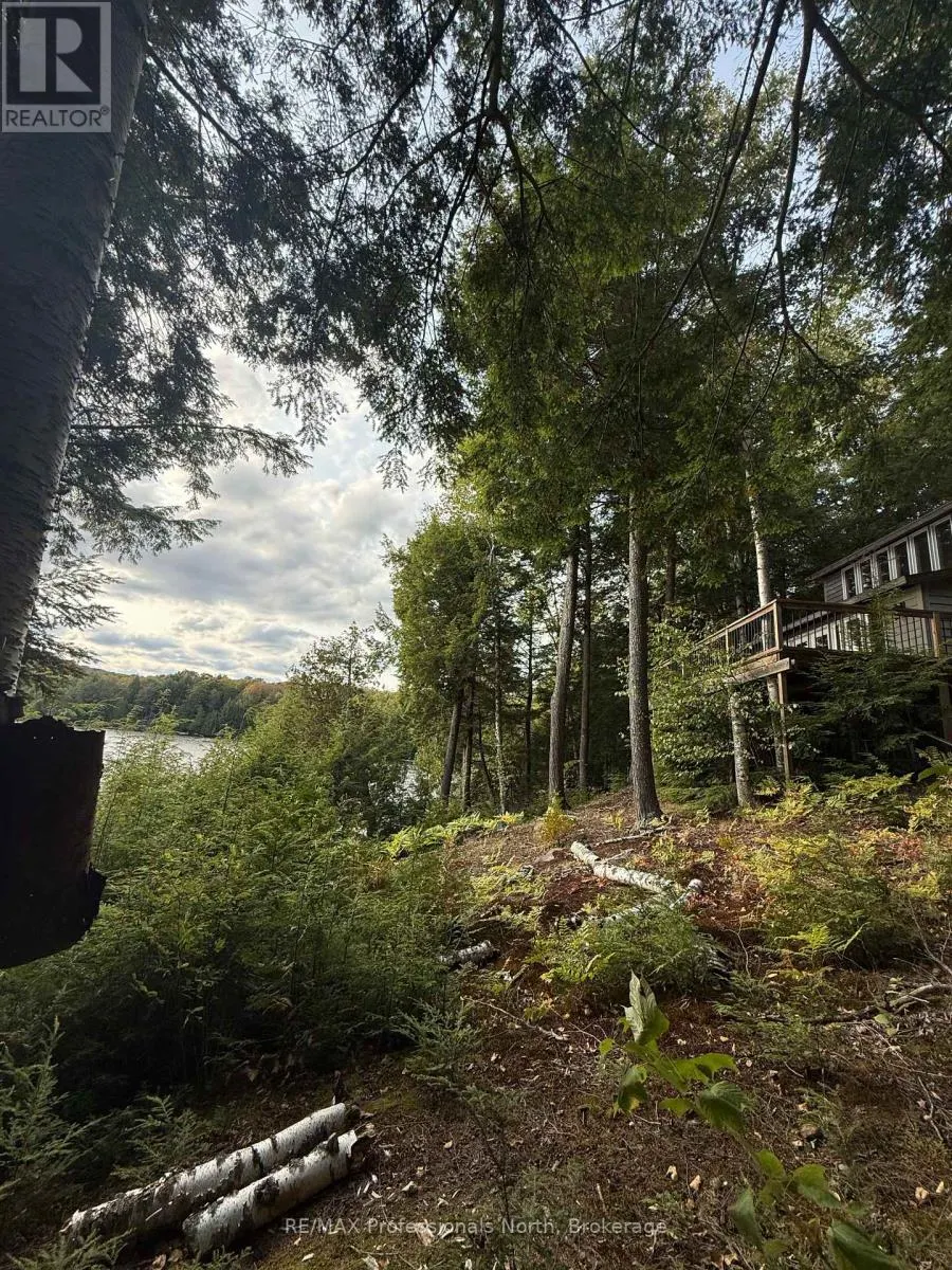 1258 BETULA CRESCENT