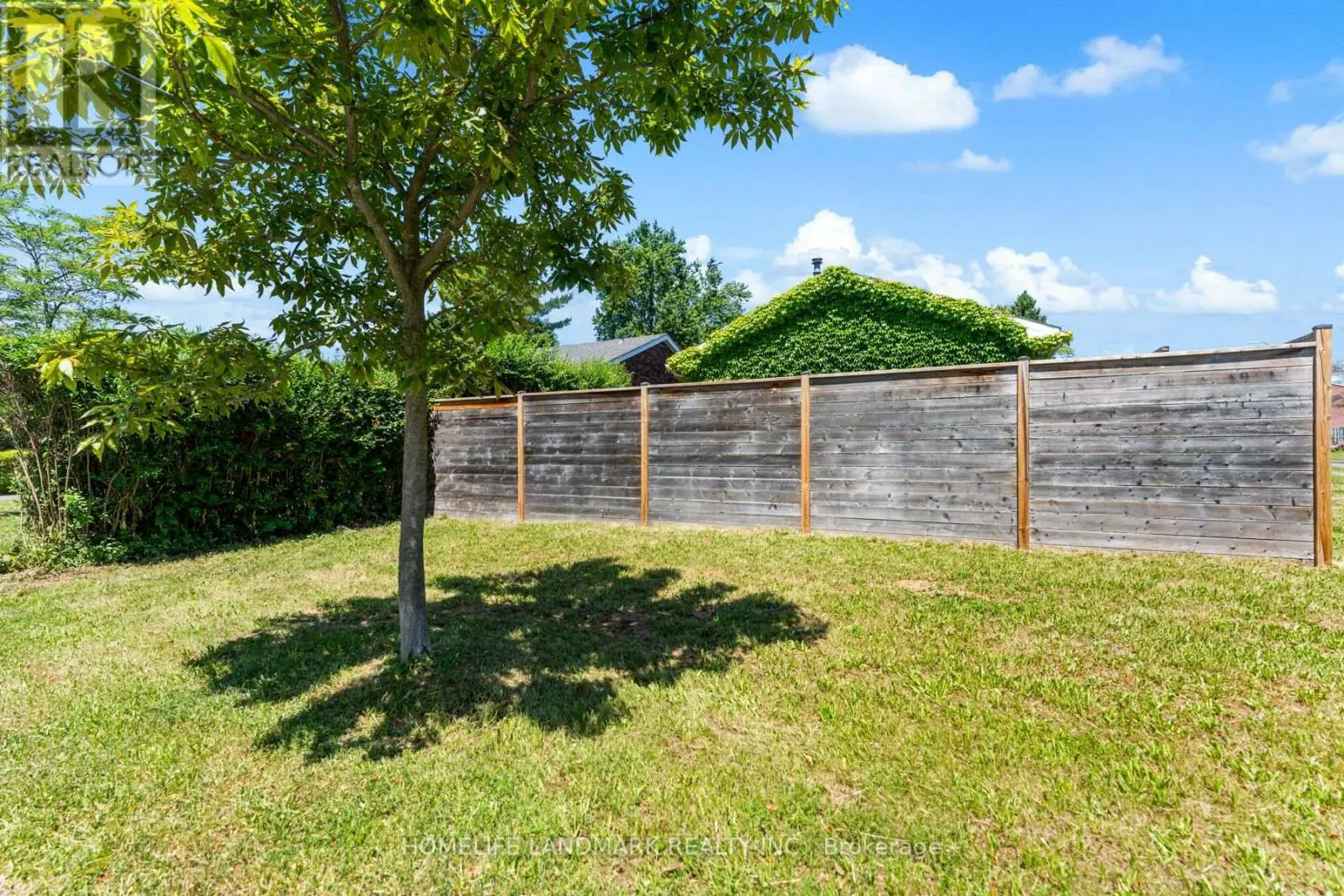 55 CLIFF CRESCENT