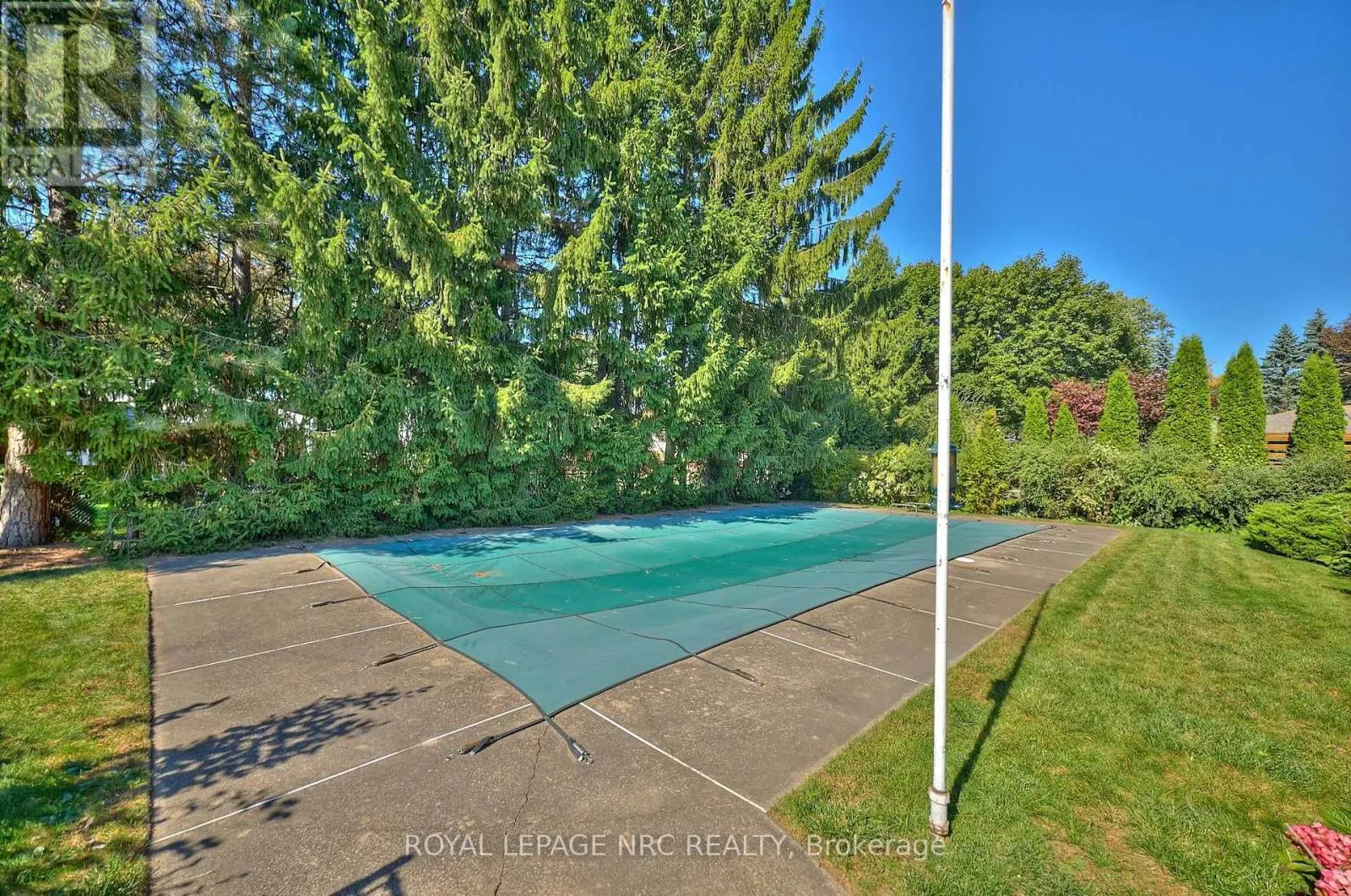 125 DALEVIEW DRIVE